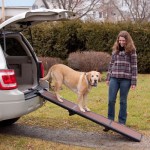 Wolters-Travel-Lite-Pet-Gear-Hunderampe-Hundetreppe-Hunde-Rampe-Treppe-Stufen-Einstiegshilfe-Auto-bis-90kg-schokoschwarz-0