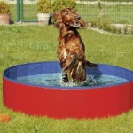 2in1-Hundepool-Hundeswimmingpool-Eckpool-Rundpool-160-x-30-cm-Hunde-Swimmingpool-Hunde-Pool-0