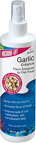 Garlic-Enhance-236-ml-Lockstoff-fr-gesunde-und-top-gepflegte-Meer-Swasser-Aquarien-0