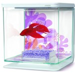 Marina-Flower-Aquarium-fr-Kampffische-Betta-Komplettset-0