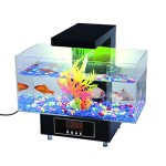 Premier-Desktop-Aquarium-von-Express-Panda-Complete-Geschenk-Set-fr-Bro-oder-zu-Hause-0