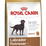Royal-Canin-Hundefutter-Labrador-Retriever-Sterilised-12-kg-1er-Pack-1-x-12-kg-0