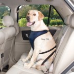 Guardian-Gear-Polyester-Ride-Right-Dog-Car-Harness-Large-Crimson-by-PetEdge-Dealer-Services-English-manual-0