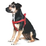 Hund-Harnesses-Red-Padded-Nylon-Harness-Med-0