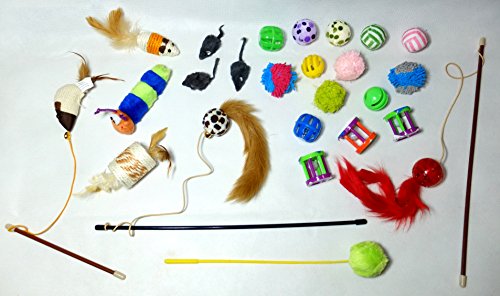 PeSoBo 25 Teile Set Katzenspielzeug Katzenangel Spielangel Katzen Spielzeug Fellmaus Angel Ball