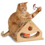 Tick-Tock-Teaser-Katzenspielzeug-Beschftigungsspielzeug-0