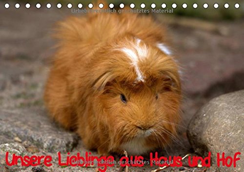 Unsere Lieblinge aus Haus und Hof (Tischkalender 2016 DIN A5 quer): Meine schönsten Bilder aus der großen Welt der Tiere aus Haus und Hof. (Geburtstagskalender, 14 Seiten) (CALVENDO Tiere)