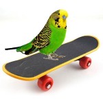 Bird-Parrot-Intelligenz-Spielzeug-Mini-Skateboard-Training-fr-Parrot-Wellensittich-Sittich-Nymphensittich-Unzertrennliche-Sittiche-Kleine-und-mittelgroe-Bird-Funny-Sitzstange-Spielzeug-0