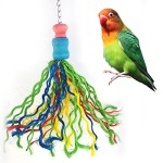 Colorful-Gewinde-Birds-Kauen-Bite-Spielzeug-fr-Vogel-Papagei-African-Greys-Wellensittich-Kakadus-Sittiche-Nymphensittiche-Aras-Unzertrennliche-Kanarien-Kfig-zum-Aufhngen-Decor-Pet-Zubehr-0