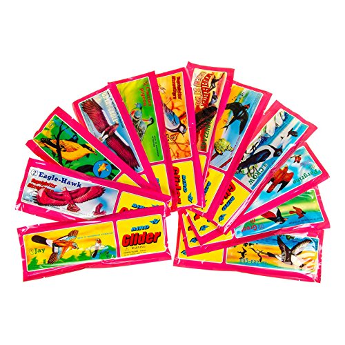 JT Gleitflugzeuge Set - Der Klassiker für den Kindergeburtstag - Styropor-Flieger - einzeln verpackt - für Tombola Schultüte Mitgebsel Überraschung (12er Set Styropor-Vögel)