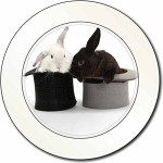 Kaninchen-in-Top-Hats-AutovignetteGenehmigungsinhaber-Geschenk-0