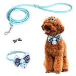 Pawaboo-Hundehalsband-mit-Leine-und-Hair-Clip-Einstellbar-Haustier-Hunde-Halsband-halskette-Weihnachten-Fliege-Schleife-Bell-Glocken-Hundefliege-Halsschleife-fr-Welpen-Katze-Hell-blau-Fr-20cm-28cm-0