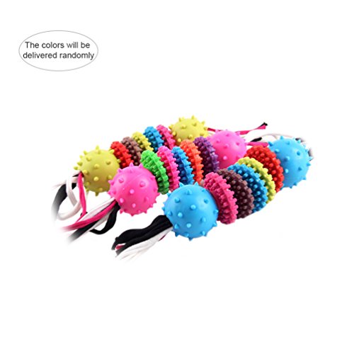 Petacc Hundespielzeug, Kauspielzeug für Haustiere Biss-beständig Spielzeug Zufällige Farbe