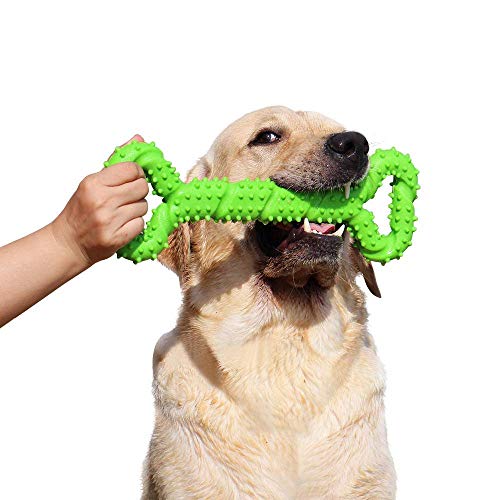 MMLC Robustes Hundespielzeug 13 Inch Knochen geformt Kauspielzeug aus Hartgummi mit Konvexes Design stark interaktives Spielzeug für große Hunde, Zähne reinigen und Zahnfleisch massieren (Green)