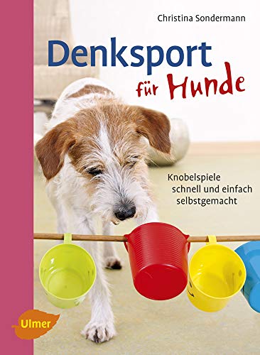 Denksport für Hunde: Knobelspiele schnell und einfach selbstgemacht