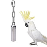 Edelstahl-Glocken-Spielzeug-mit-sem-Klang-fr-Vogel-Papagei-Macaw-Afrikanische-Grautne-Amazonas-Eclectus-Cockatoo-Sittich-Cockatiels-Conure-Cage-0