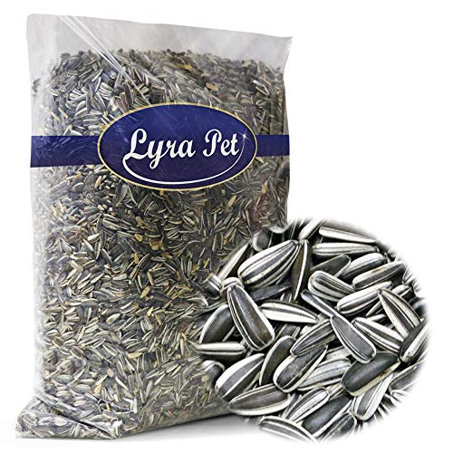 Lyra Pet 25 kg Sonnenblumenkerne gestreift Vogelfutter Winterfutter Ernte 2018