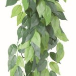 Trixie-76240-Seiden-Hngepflanze-Ficus-0
