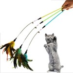 1-Niedliches-Hochwertige-Pet-Kitten-Cat-Teaser-Interaktive-Spielzeuge-Stick-Zauberstab-Angelrute-Katze-Spielzeug-mit-Glocke-und-Federn-Farbe-zufllige-0