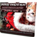 Adventskalender-fr-Katzen-Katzenspielzeug-Weihnachten-0