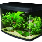 Interpet-Insight-Glas-Aquarium-komplettes-Starter-Set-Premium-0