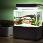 KHTO-Mini-Kunststoff-Aquarium-Portable-Desktop-Aquarium-Fischschale-mit-Wasserfiltration-LED-Leise-Luftpumpe-fr-Dekor-Schwarzes-mit-LED-Licht-0