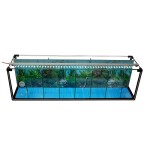 Komplettset-Aquarium-Zucht-Becken-Betta-38-L-Garnelen-Aufzucht-Kampffisch-Aquarium-inkl-LED-LampeLuftpumpe-0