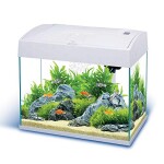 Nano-Komplett-Aquarium-20Lkratzfestes-GlasFilterPumpe-uBeleuchtung-in-der-Abdeckung-0