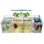 Shumo-Aquarium-LED-Acryl-Betta-Aquarium-Set-Desktop-Licht-Wasser-Pumpe-Filter-Vierfach-0