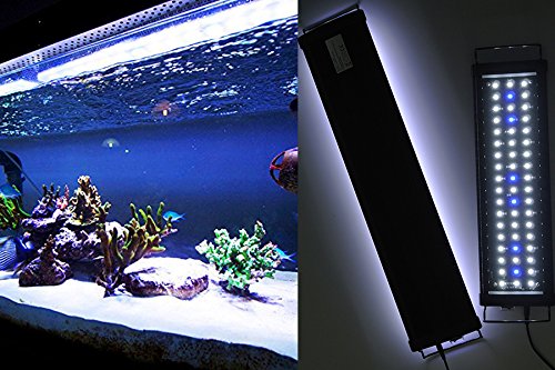 Aquarien Eco LED Aquarium Fische Tank Beleuchtung Aufsetzleuchte Blau Weiß Aquairum Abdeckung 125-140CM (120cm 33W)A060