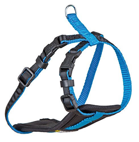 Geschirr für kleine Hunde XS, neon blau K81064 top Qualität