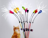 Katzenspielangel Federtänzer