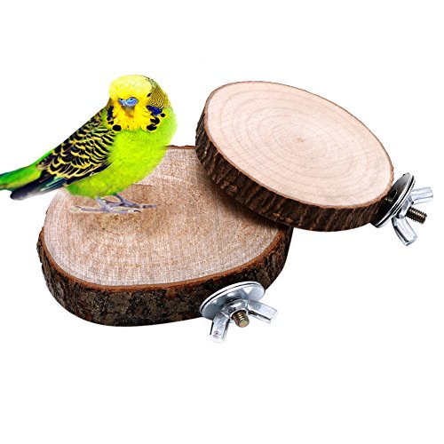 Vogel Spielzeug,Dairyshop Haustier Vogel Papagei Kauen Spielzeug Holz Hängen Schwingen Birdcage Parakeet Cockatiel Käfige