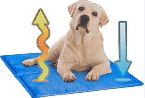 Komfort Kissen mit Kühlfunktion - Erfrischende Kühlmatte Hundematte