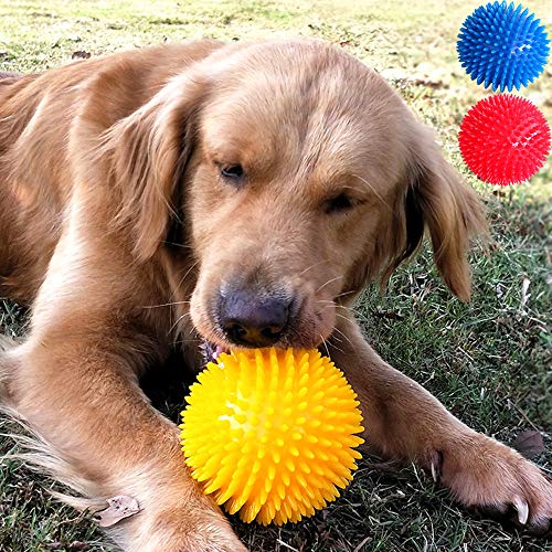 MMLC Robustes Hundespielzeug Geformt Kauspielzeug aus Hartgummi mit Konvexes Design Stark interaktives Spielzeug (Yellow)