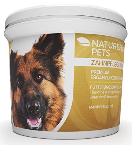 Zahnpflege für Hunde - Zahnsteinentferner Ergänzung bei Hunden - Natürliche und Wirksame Reinigung für Zähne & Zahnfleisch - Pulver 100g Premium Ergänzungsfuttermittel